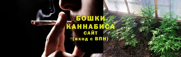 ГАЛЛЮЦИНОГЕННЫЕ ГРИБЫ Дмитриев