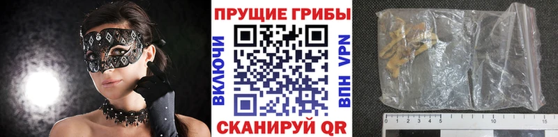 купить   Мариинск  Галлюциногенные грибы MAGIC MUSHROOMS 
